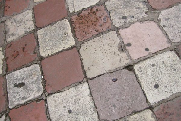 Guidelines on Properly and Effectively Cleaning Off Mold on Various Surfaces