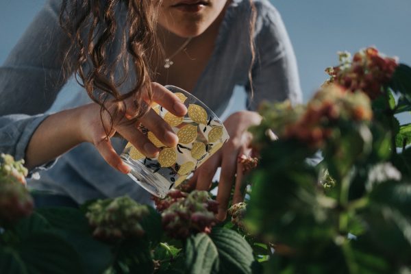Starting Out in Gardening – Quick and Easy Suggestions to Start Applying Today
