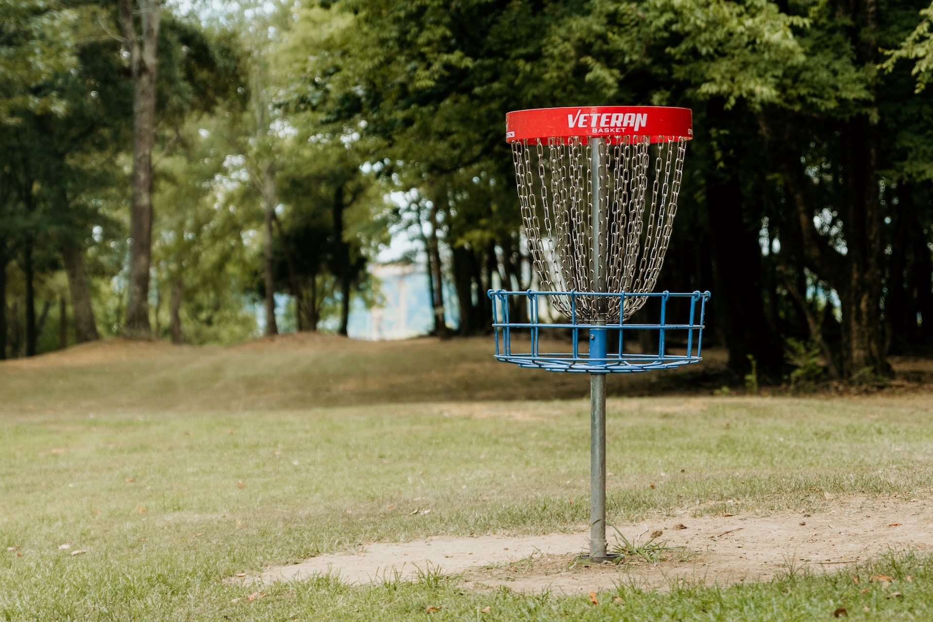 Disc Golf 101 – A Beginner’s Guide to the Game